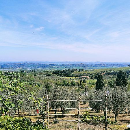 La Casina Di Colle - Appartamento Rustico Sulle Colline Di Pisa Casciana Terme Esterno foto