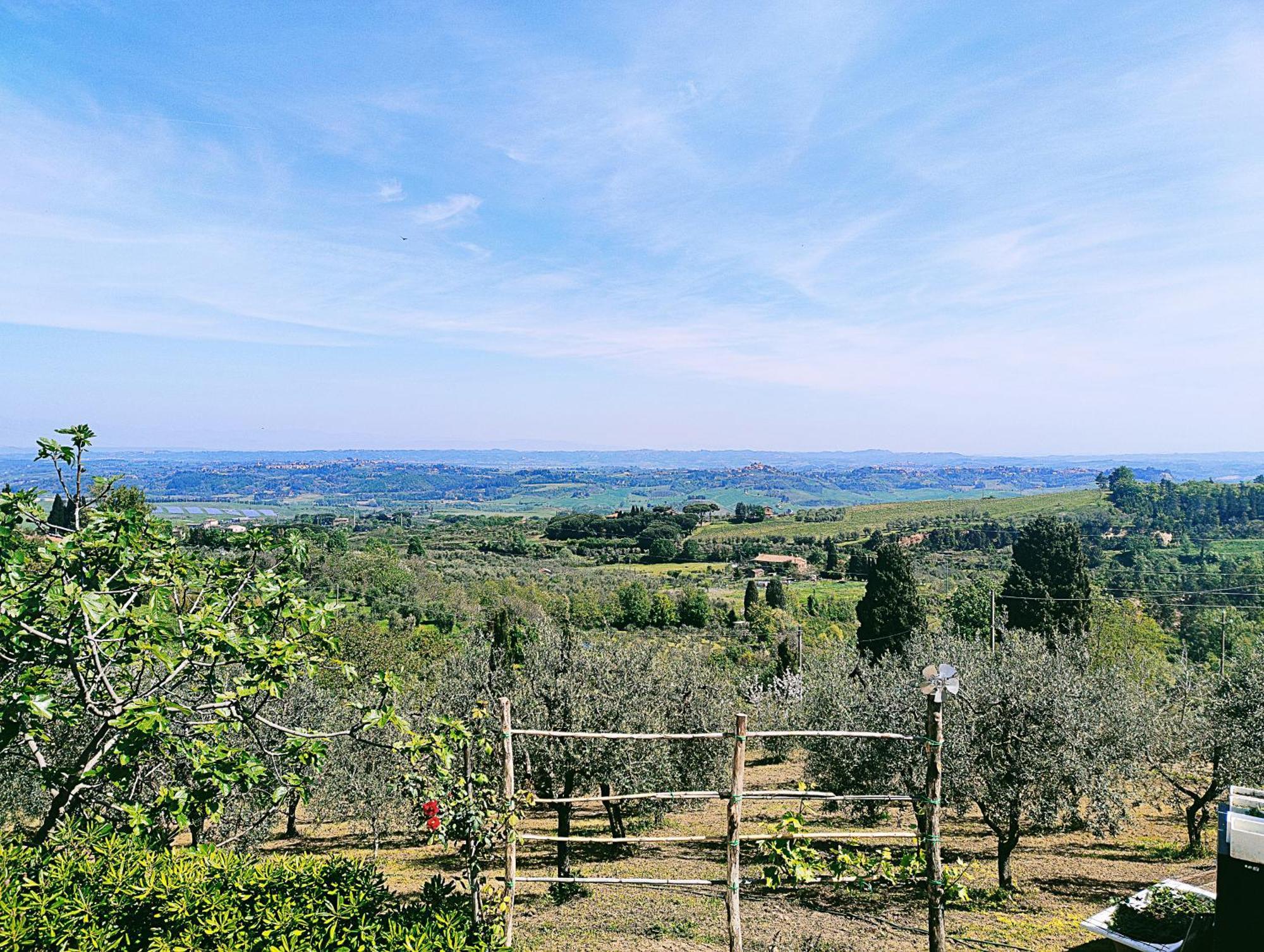 La Casina Di Colle - Appartamento Rustico Sulle Colline Di Pisa Casciana Terme Esterno foto